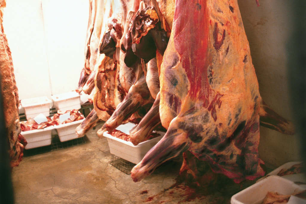 ever&iacute;amos parar de comer carne? Frigor&iacute;fico