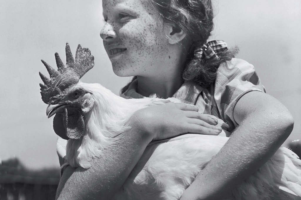 Dever&iacute;amos parar de comer carne? Menina e galinha
