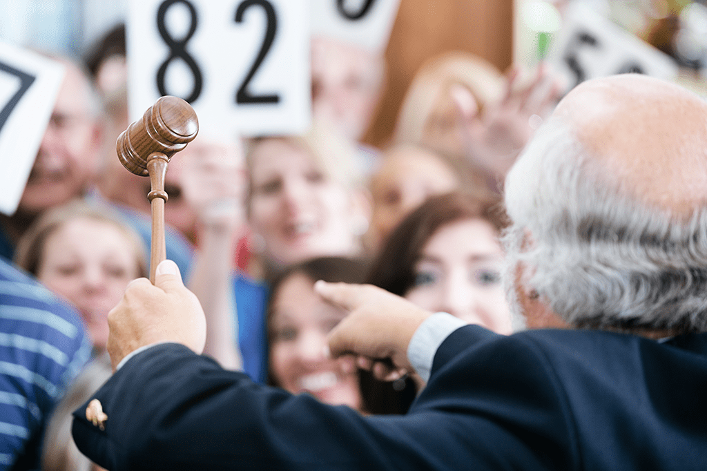 Tudo o que você pode comprar em um leilão