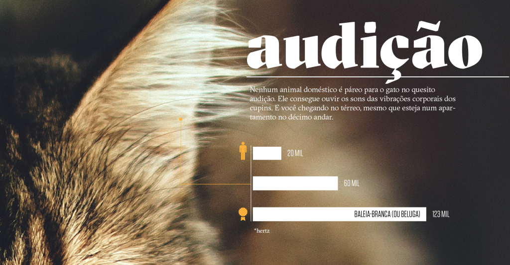 Como os animais realmente enxergam o mundo: audição Como os animais realmente enxergam o mundo: audição