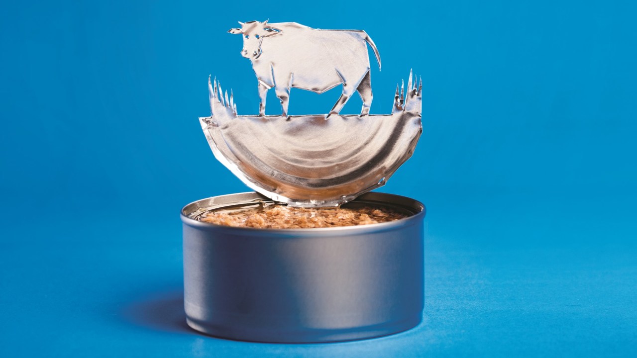 Thomas Artuzzi/ Design: Bruna Lora