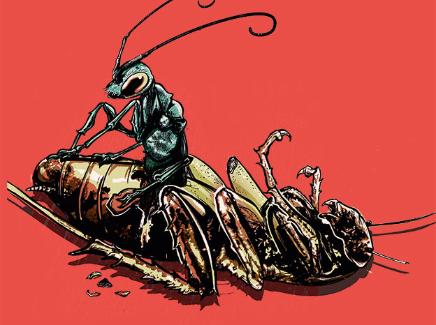Ilustração: Davi Augusto