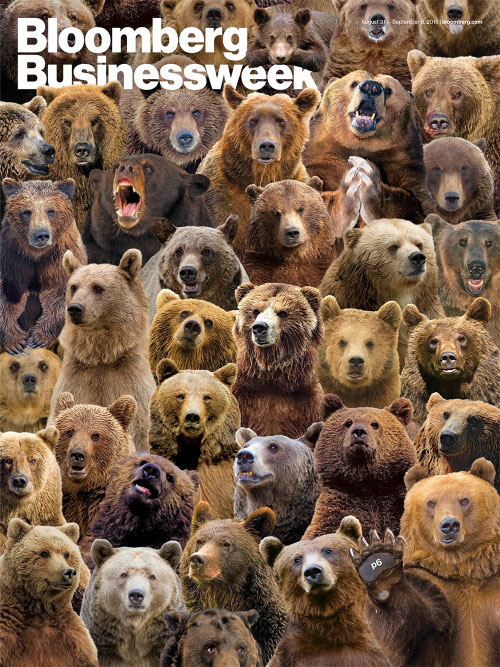 Bears