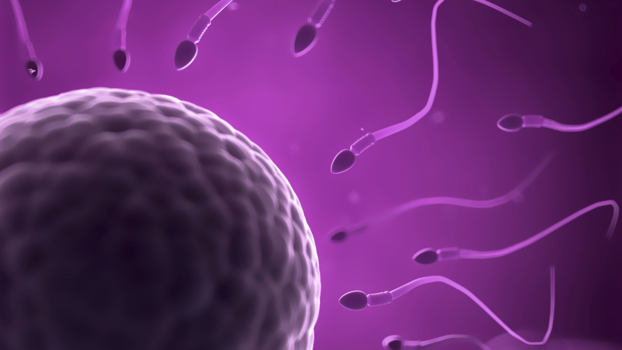Thinkstock