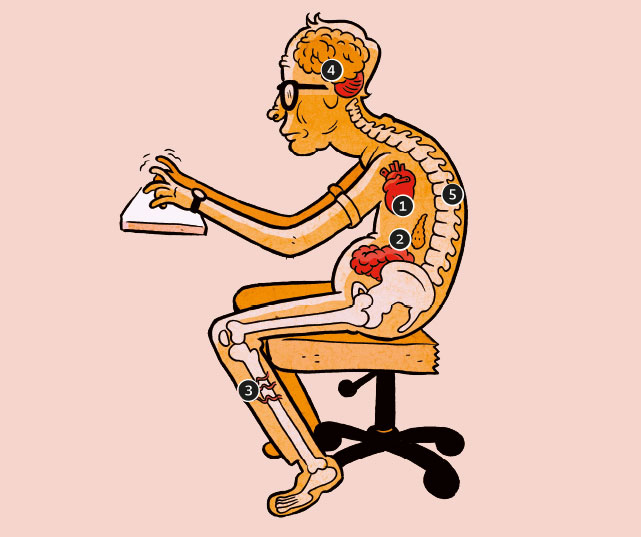 hist&oacute;ria da cadeira