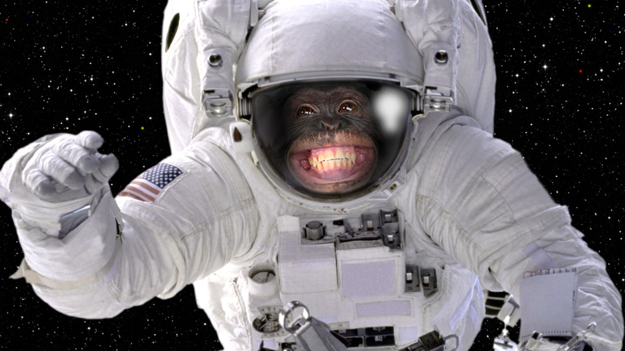 Fotomontagem | iStock.com