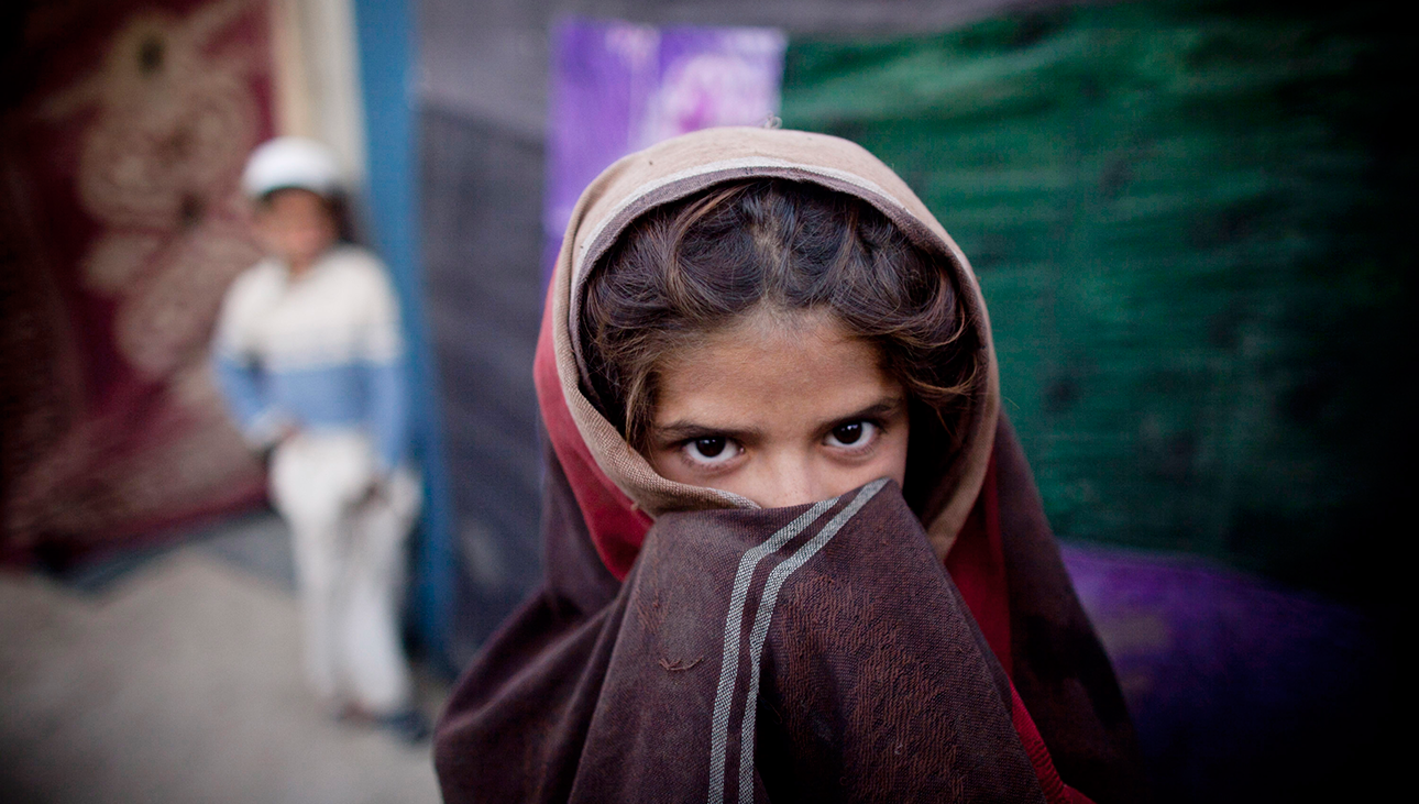 Majid Saeedi/Getty Images News
