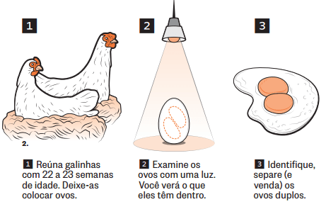 Ovo com duas gemas