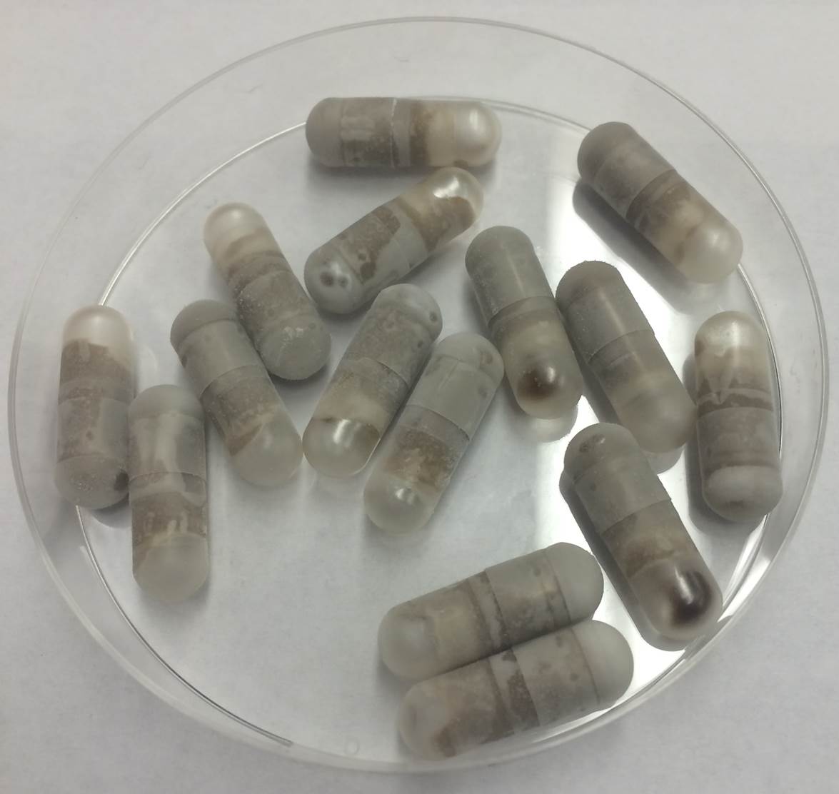 P&iacute;lulas com fezes congeladas