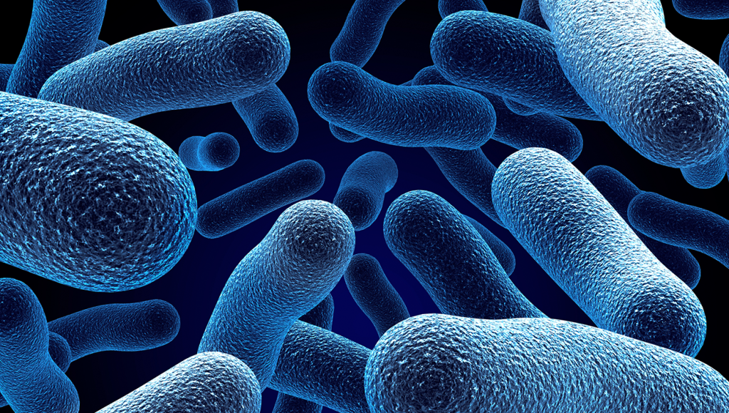 Bactérias podem formar ‘microparques’ eólicos
