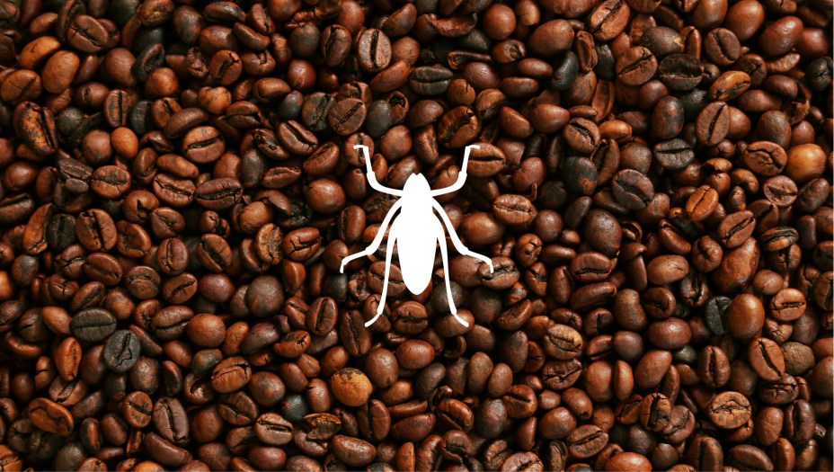 Café torrado e moído