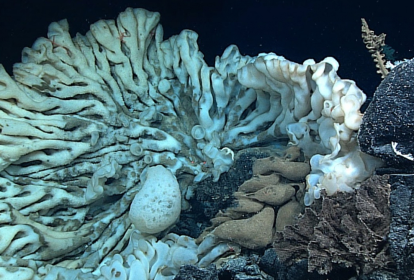 Divulgação | National Oceanic and Atmospheric Administration