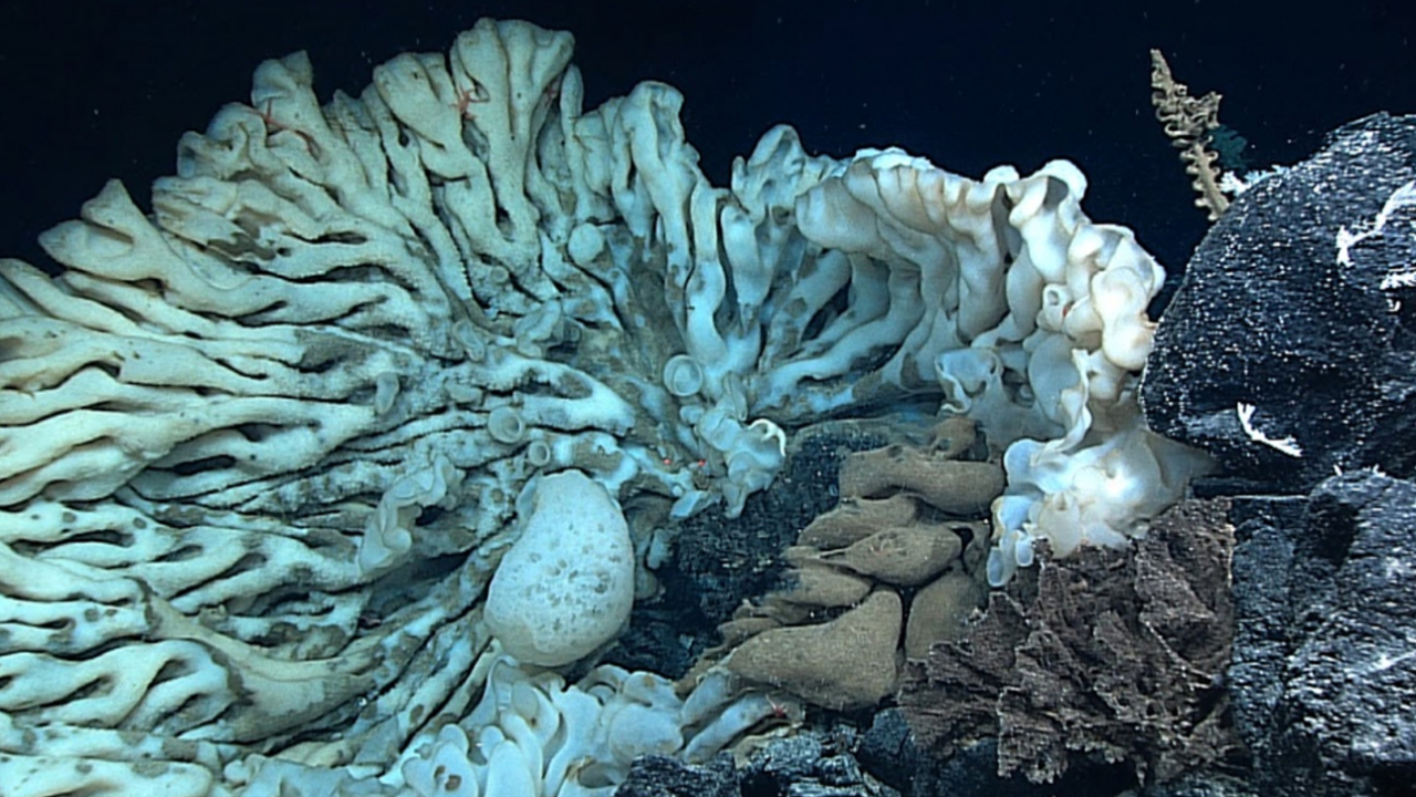Divulgação | National Oceanic and Atmospheric Administration