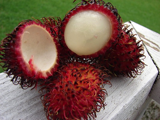 O rambutan é esquisito, a gente sabe. Mas não é muito diferente da lichia, outra frutinha exótica que virou moda no Brasil. O jeito de comer também é parecido: você retira a popa ao redor da semente. O rambutan é nativo do sudeste asiático.