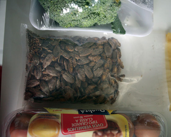Schickler trabalha na Nutrinsecta, que forneceu os bichos mostrados nestas imagens. Com planos de produzir insetos para consumo humano, a empresa de Minas Gerais foi a primeira do Brasil a consultar o Ministério da Agricultura sobre o assunto. Agora, planejam abrir um restaurante na região para divulgar a iguaria. Schickler trabalha na Nutrinsecta, que forneceu os bichos mostrados nestas imagens. Com planos de produzir insetos para consumo humano, a empresa de Minas Gerais foi a primeira do Brasil a consultar o Ministério da Agricultura sobre o assunto. Agora, planejam abrir um restaurante na região para divulgar a iguaria.