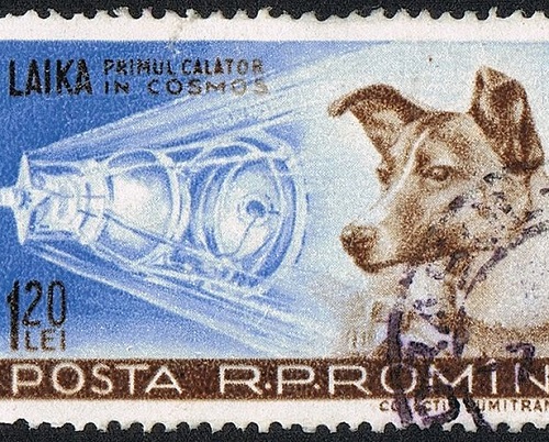 A Guerra Fria causou uma verdadeira corrida espacial. Quem saiu na frente foi a União Soviética, que em 1957 colocou a cadela Laika no espaço. Ela ganhou fama mundial, mas morreu no espaço.