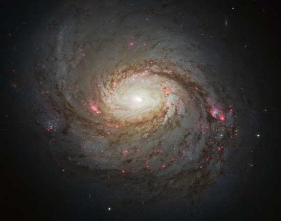 A galáxia M77 está a 47 milhões de anos-luz da Terra e possui 100 anos-luz de diâmetro. Seu núcleo compacto e brilhante é muito estudado pelos astrônomos que exploram os mistérios dos buracos negros supermassivos. A galáxia M77 está a 47 milhões de anos-luz da Terra e possui 100 anos-luz de diâmetro. Seu núcleo compacto e brilhante é muito estudado pelos astrônomos que exploram os mistérios dos buracos negros supermassivos.