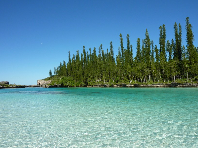 A nova Caledônia, conjunto de ilhas no oceano Pacífico, possui muitas florestas tropicais ameaçadas pela mineração, principal atividade econômica da região: a venda de níquel corresponde a quase 100% da exportação. Também abriga uma simpática ave que corre sério risco de extinção, o Kagu.