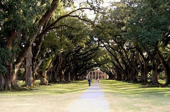 Outro lugar que já apareceu em diversos filmes e clipes é Oak Alley, que fica em Louisiana, nos Estados Unidos. Outro lugar que já apareceu em diversos filmes e clipes é Oak Alley, que fica em Louisiana, nos Estados Unidos.