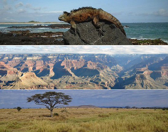 Parques Nacionais são áreas de preservação ambiental que pertencem a um Estado. Mais do que isso, conhecê-los é uma ótima maneira para você aprender mais sobre a natureza, fazer ecoturismo e conhecer mais da biodiversidade de um país ou região. Existem diversos parques nacionais interessantes mundo afora, conheça alguns deles nessa seleção da SUPER.