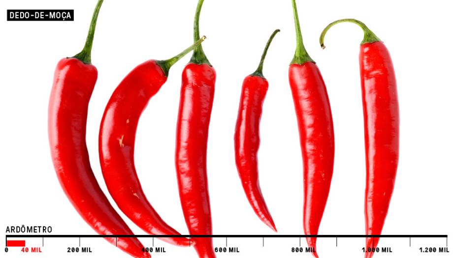 <span style="line-height:1.6">7. Dedo-de-Moça - 40 mil SHU</span><br /> <span style="line-height:1.6">7. Dedo-de-Moça - 40 mil SHU</span><br />