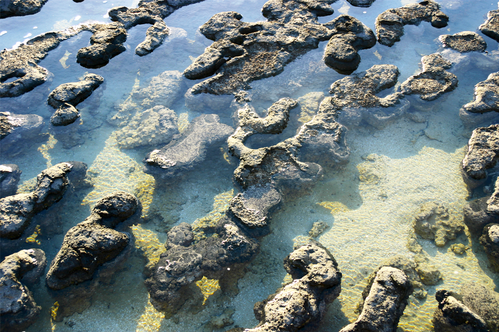 2016_descobertascientificas_01