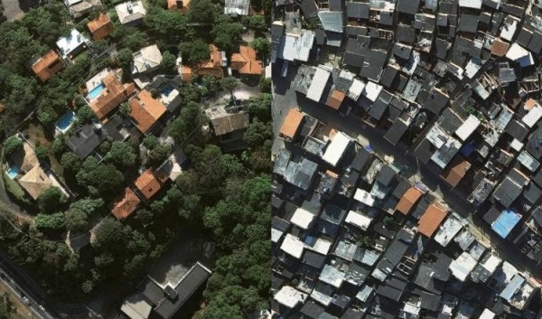 Desigualdade social pode ser medida por presença de árvores