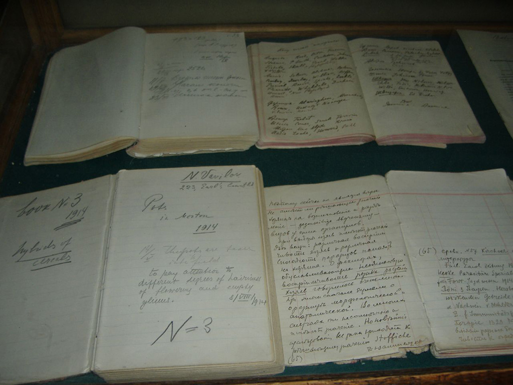 Os cadernos do botânico, preservados e em exposição no Instituto.