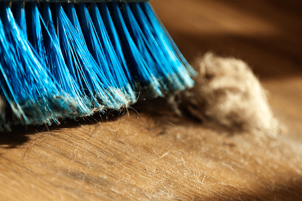 Esta é a melhor forma de varrer o chão, de acordo com a ciência