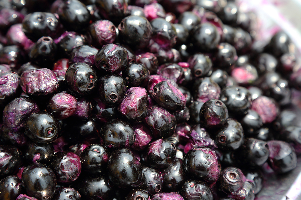 Esta frutinha asiática pode tornar energia solar 40% mais barata