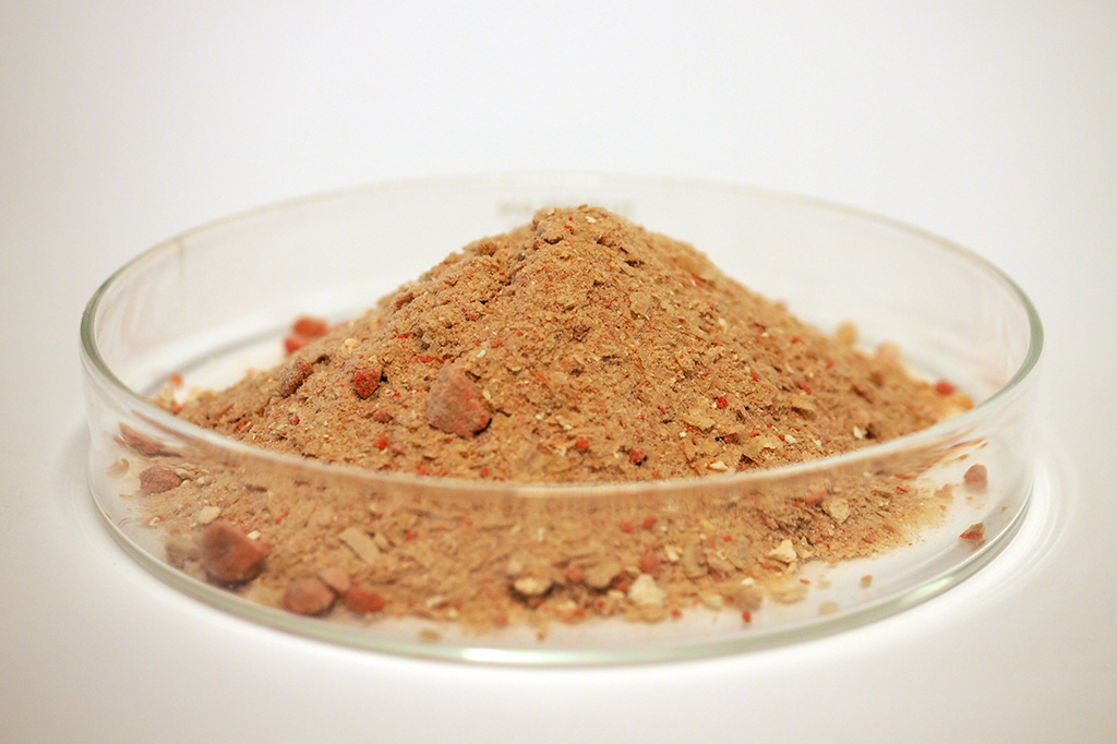 Cientistas finlandeses transformam eletricidade em comida