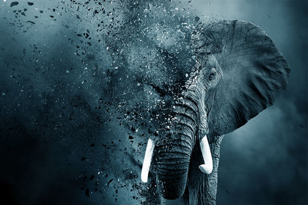 11 documentários na Netflix para repensar a vida na Terra