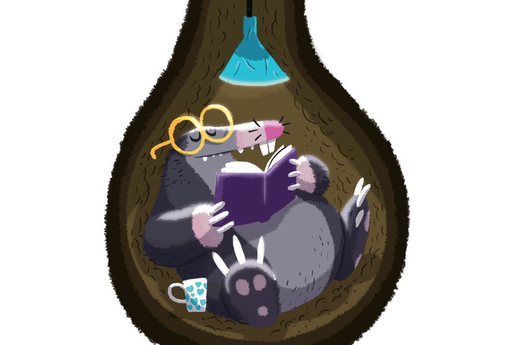 Por que pessoas pouco inteligentes são chamadas de toupeiras?