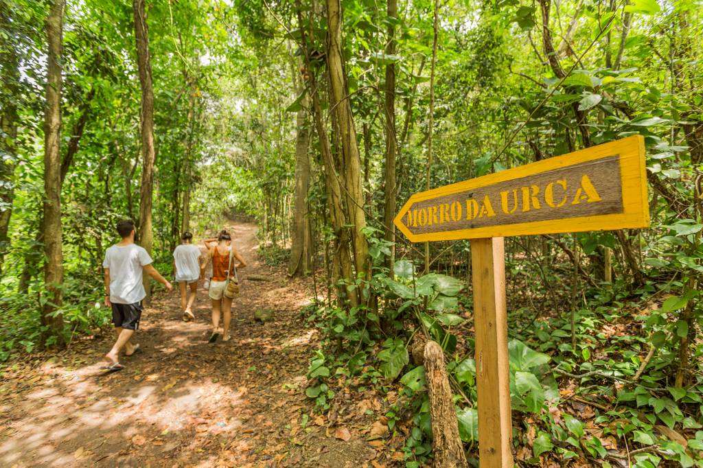 A pé e com o celular: o app ideal para curtir as trilhas do Rio