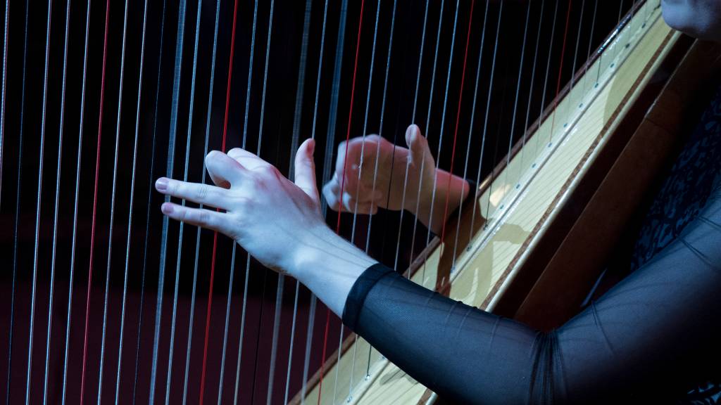 Canções de ninar e músicas de amor são elementos universais