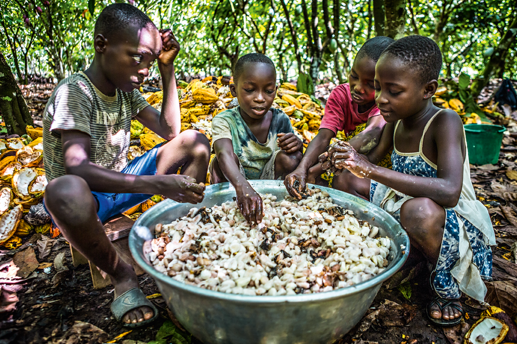 Os verdadeiros coelhinhos da Páscoa