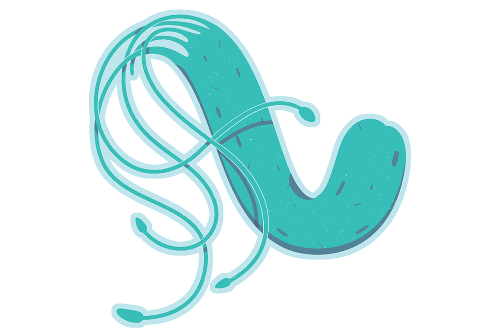 Hóspede misterioso: a bactéria por trás de problemas no estômago