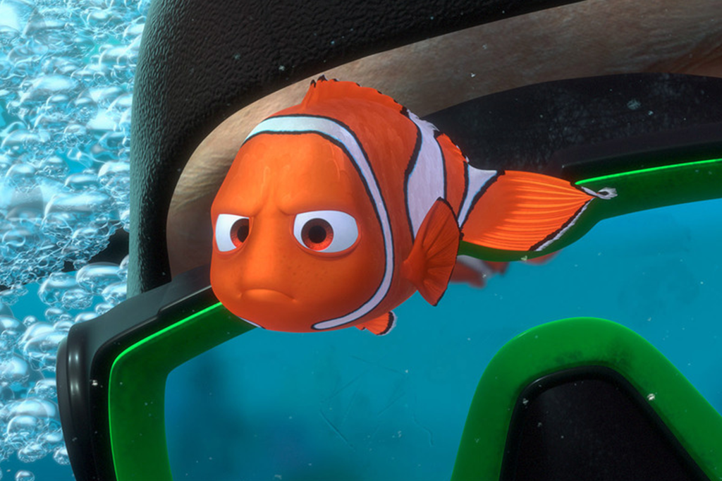 Peixes-palhaços que moram em casas piores são mais estressados