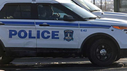 Homem faz xixi em árvore e tem seu esquema de fraudes descoberto pela polícia