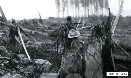 destruição-tsunami-tragedia-escombro-alagado destruição-tsunami-tragedia-escombro-alagado