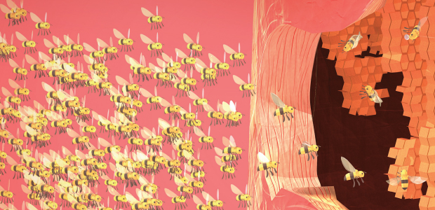 Como se forma uma colmeia?