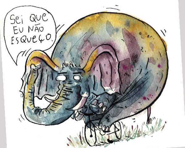 É verdade que jamais esquecemos como andar de bicicleta?