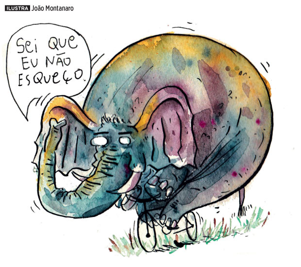 verdade-jamais-esquecemos-andar-bicicleta verdade-jamais-esquecemos-andar-bicicleta