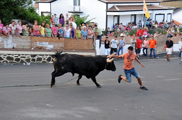 640px-Tourada_a_corda,_Terceira