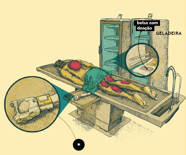 Como funciona um banco de peles?