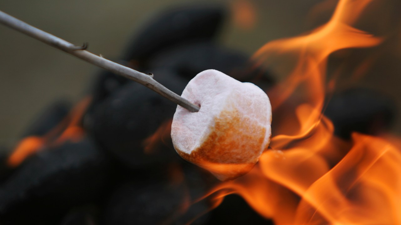 Marshmallow