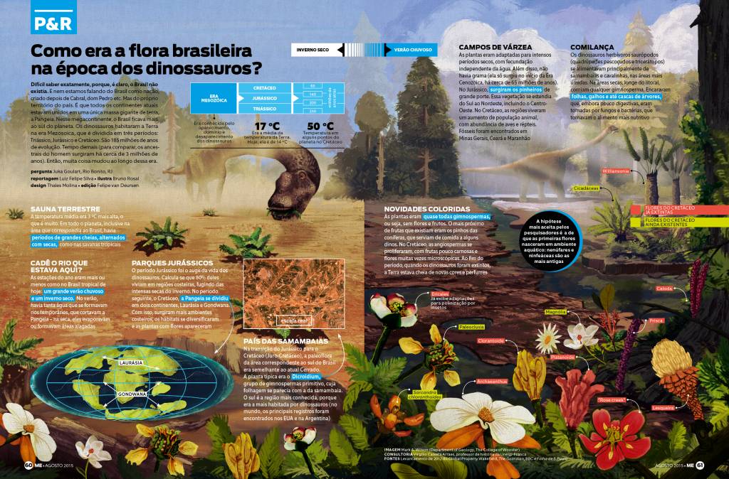 Como era a flora brasileira na época dos dinossauros?