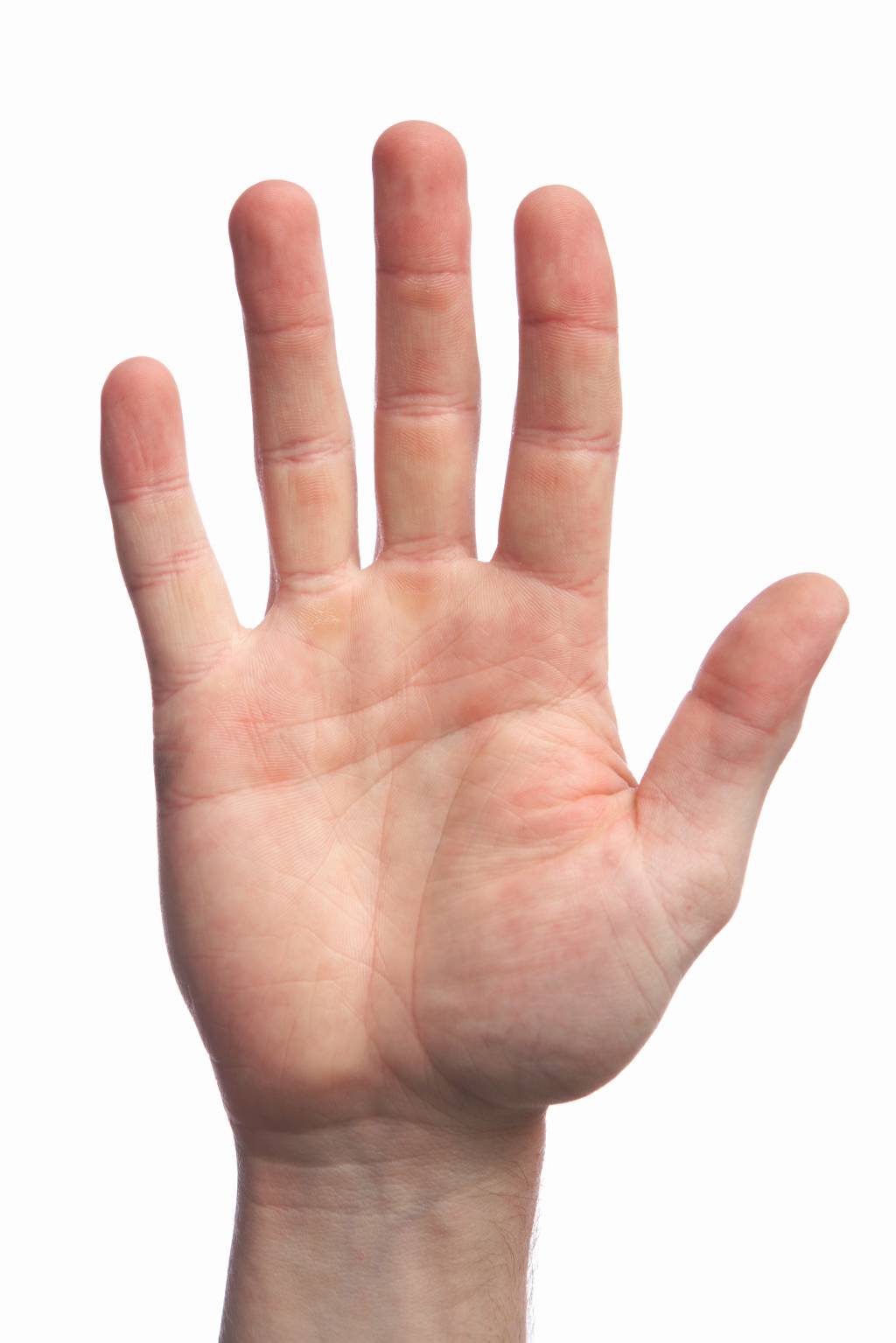 Há alguma relação entre o tamanho do pênis e o da mão da pessoa?