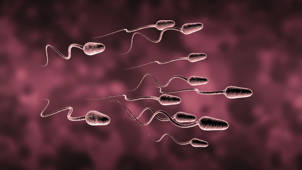 Esperma
