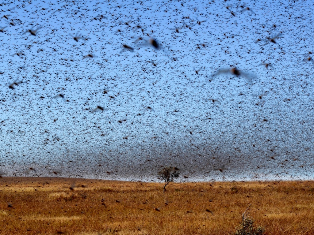 As pragas do Egito realmente existiram?
